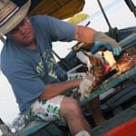 El camarón encantado complació el deseo del pescador cubano